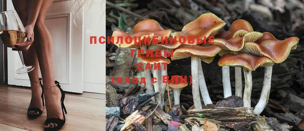 jwh Верхний Тагил